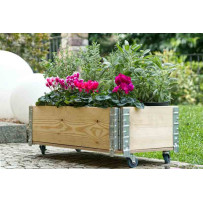 FIORIERE PRIMULA per giardino da esterno su eSAEM.it