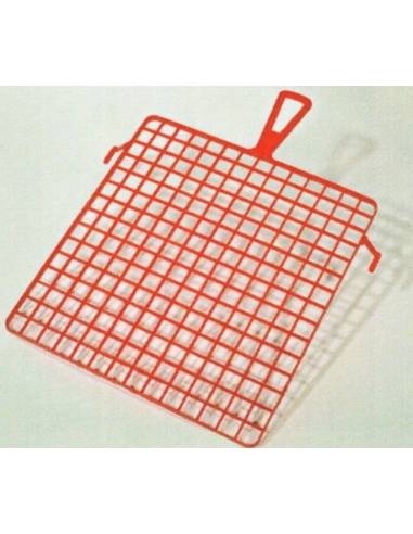 Retina plastica