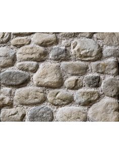 SPONTANEO SASSO FIUME P14