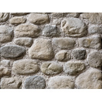 SPONTANEO SASSO FIUME P14