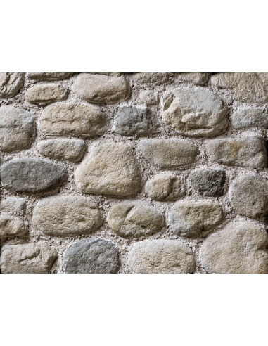 SPONTANEO SASSO FIUME P14
