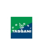 MAZZETTE E CARTELLE COLORI TASSANI
