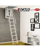 RINTAL - SCARI